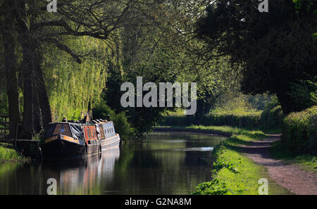 Péniches amarrées sur le canal à Worcestershire et Staffordshire Cookley, Worcestershire, Angleterre, Europe Banque D'Images