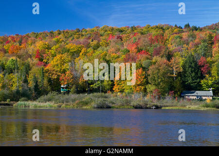 Feuillage d'automne au lac Elmore dans Lamoille Comté, Vermont, USA. Banque D'Images