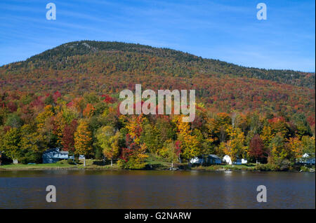 Feuillage d'automne au lac Elmore dans Lamoille Comté, Vermont, USA. Banque D'Images