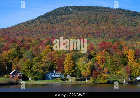 Feuillage d'automne au lac Elmore dans Lamoille Comté, Vermont, USA. Banque D'Images