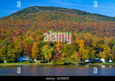 Feuillage d'automne au lac Elmore dans Lamoille Comté, Vermont, USA. Banque D'Images