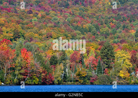 Feuillage d'automne près de Lake Elmore dans Lamoille Comté, Vermont, USA. Banque D'Images