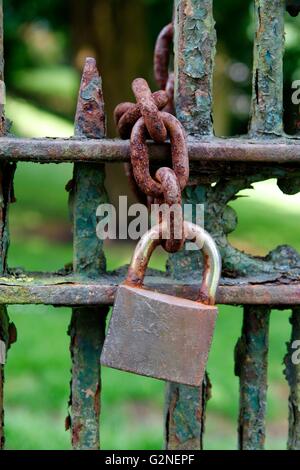 Chaîne et cadenas sur une grille rouillée Banque D'Images