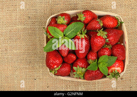 En bois, en osier panier plein de douceur d'été rouge fraises et feuilles de menthe fraîche sur fond de toile de jute jute, vue du dessus Banque D'Images