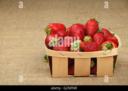 En bois, en osier panier plein de fruits rouges moelleux fraises d'été sur fond de toile de jute jute, side view Banque D'Images