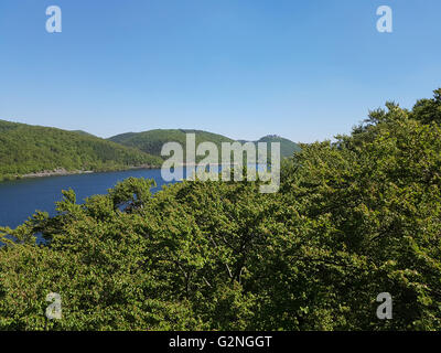 Baumkronenweg, Hessen, Buchenwald, Nationalpark, Kellerwald Banque D'Images