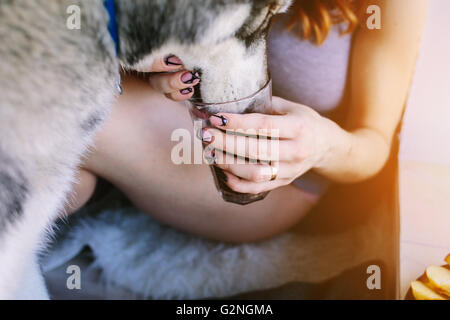 Nourrir un chien femme Banque D'Images