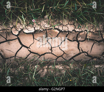 Arrière-plan avec brown fissure sèche sol avec l'herbe verte. Nature fond avec instagram tonifiant. Close-up Banque D'Images