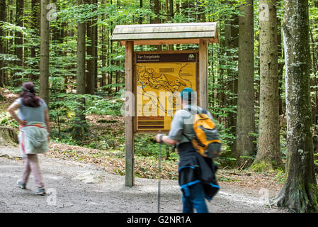 Lecture d'information board avec la carte dans le Tierfreigelände, parc d'animaux en plein air dans la forêt de Bavière, Allemagne NP Banque D'Images