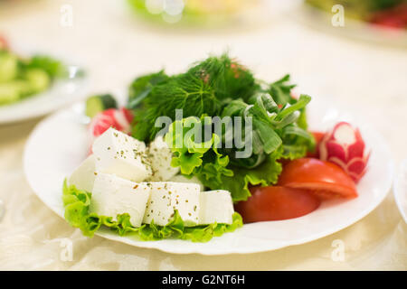 Une salade verte, tomates, persil, radis, concombre Banque D'Images