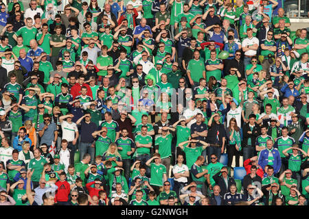 Belfast, 27 mai 2016, l'Irlande du Nord 3 Belarus 0. Il a été l'Irlande du Nord dernier match avant l'Euro 2016 et une pleine maison bade le côté 'Au revoir'. Banque D'Images