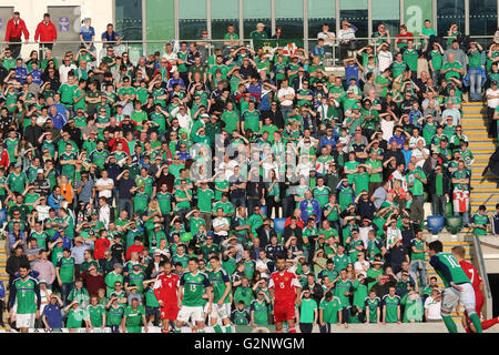 Belfast, 27 mai 2016, l'Irlande du Nord 3 Belarus 0. Il a été l'Irlande du Nord dernier match avant l'Euro 2016 et une pleine maison bade le côté 'Au revoir'. Banque D'Images