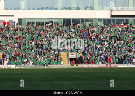 Belfast, 27 mai 2016, l'Irlande du Nord 3 Belarus 0. Il a été l'Irlande du Nord dernier match avant l'Euro 2016 et une pleine maison bade le côté 'Au revoir'. Banque D'Images