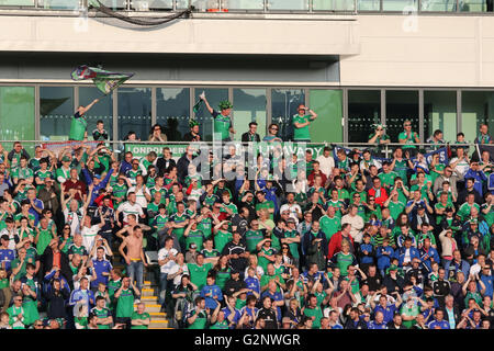 Belfast, 27 mai 2016, l'Irlande du Nord 3 Belarus 0. Il a été l'Irlande du Nord dernier match avant l'Euro 2016 et une pleine maison bade le côté 'Au revoir'. Banque D'Images