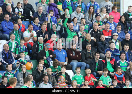 Belfast, 27 mai 2016, l'Irlande du Nord 3 Belarus 0. Il a été l'Irlande du Nord dernier match avant l'Euro 2016 et une pleine maison bade le côté 'Au revoir'. Banque D'Images