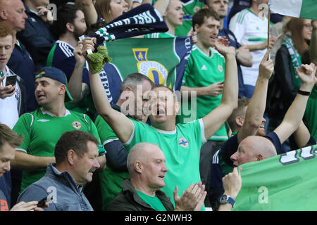 Belfast, 27 mai 2016, l'Irlande du Nord 3 Belarus 0. Il a été l'Irlande du Nord dernier match avant l'Euro 2016 et une pleine maison bade le côté 'Au revoir'. Banque D'Images