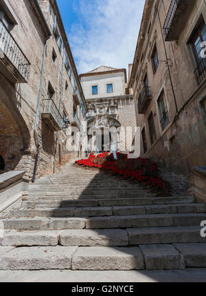 SANT MARTÍ ÉGLISE AVEC EXPOSITION D'ART FLORAL À Gérone. La Catalogne. L'ESPAGNE. Banque D'Images