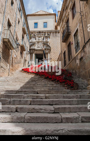 SANT MARTÍ L'ÉGLISE ET DE L'EXPOSITION D'ART FLORAL À Gérone. La Catalogne. L'ESPAGNE. Banque D'Images