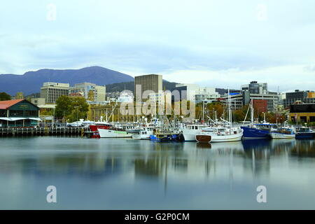 Bateaux de pêche au repos à Constitution Dock, avec Mount Wellington dans l'arrière-plan - Hobart, Tasmanie, Australie. Banque D'Images