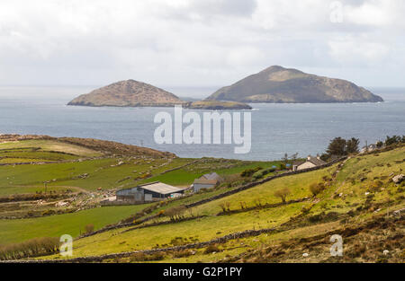 Une vue panoramique le long de l'Anneau du Kerry et Trinité sur Deenish îles dans l'océan Atlantique Nord, Comté de Kerry, Munster, Irlande Banque D'Images