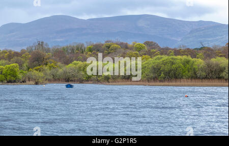 Bleu bateau sur le lac Lough Leane à Killarney National Park près de la ville de Killarney, de chênes et de forêts de l'if et des pics de montagne. Banque D'Images