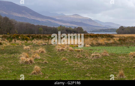 Ciel menaçant au-dessus des montagnes dans le Parc National de Killarney avec Lough Leane dans la distance, le comté de Kerry, Irlande. Banque D'Images