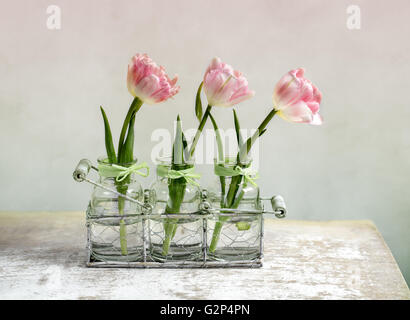 Trois belles tulipes roses pastels en vases de verre et métal panier décoratif Banque D'Images