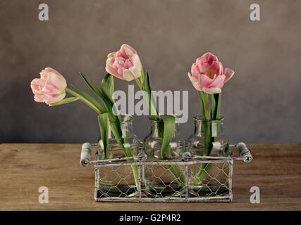 Trois belles tulipes roses pastels en vases de verre et métal panier décoratif Banque D'Images