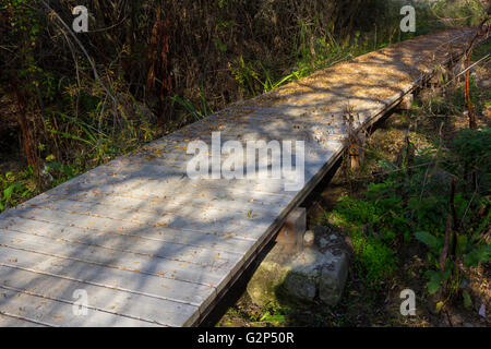 Petite passerelle en bois dans une forêt Banque D'Images