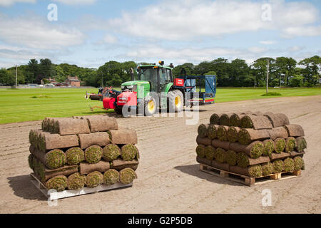 Brouwer RoboMax Sod rouleau automatique de récolte récolteuse turf dans le Lancashire, Royaume-Uni. Culture commerciale de gazon, vert, herbe, nature, pelouse, croître, plante, la croissance, l'arrière-plan, champ, pré, printemps, été, Jardin, naturel, l'environnement, sur les terres louées en tant que culture de rotation. Il y a toujours une forte demande pour les sports turf à stades, terrains de golf et autres installations dans tout le pays et l'essor de nouvelles constructions est la création d'une demande qui implique d'augmenter les superficies ont été réalisés en prairies cette année. Banque D'Images