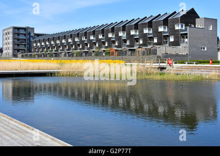 Barking Riverside la logement moderne avec terrasse et plan d'eau aménagé en UK plus grand quartier résidentiel système de régénération sur site de l'ancien hôtel Barking Power Station Banque D'Images