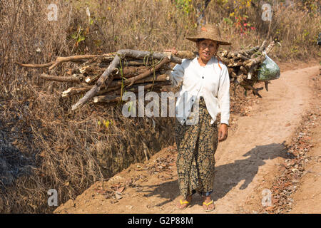 Ancien local femme birmane transporter le bois sur leur dos dans un village shan, l'État de Shan, myanmar, Birmanie, Asie du Sud, Asie Banque D'Images