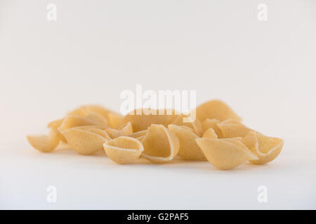 Coquilles de pâtes conchiglie épeautre avec fond blanc Banque D'Images