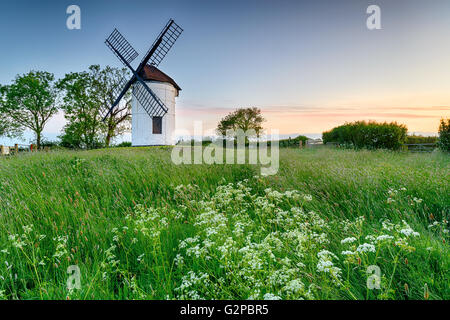 Belle Ashton Moulin à Chapel Allerton à Somerset Banque D'Images