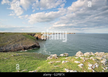 Le chemin de Pembrokeshire Coast entre Saint Govan's Head et Stackpole au Pays de Galles Banque D'Images