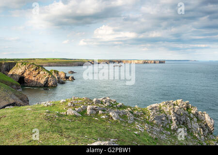 Le chemin de la côte du Pembrokeshire, Pays de Galles, près de Stackpole Banque D'Images