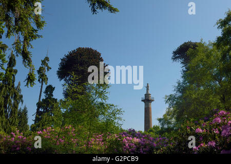 Le Monument. Hawkstone Park Follies. Le Shropshire. L'Angleterre. UK. L'Europe Banque D'Images