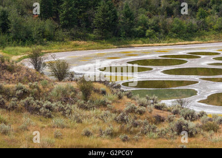 Lac tacheté est une solution saline alkali lake endoréiques près d'Osoyoos, BC, Canada. En été, l'eau s'évapore laissant les dépôts de minéraux. Banque D'Images