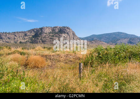 Voir à partir de la promenade le long de l'ancien canal d'irrigation près de Road 22, Osoyoos, BC, Canada Banque D'Images