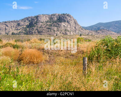 Voir à partir de la promenade le long de l'ancien canal d'irrigation près de Road 22, Osoyoos, BC, Canada Banque D'Images