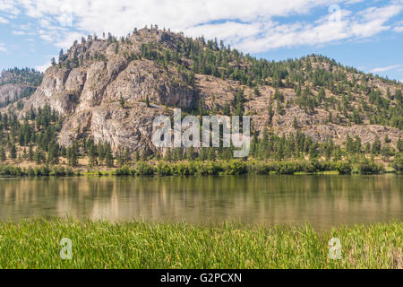 Zone d'observation de la faune au parc provincial du lac Vaseux, par l'autoroute 97, entre Oliver et Okanagan Falls, BC, Canada Banque D'Images