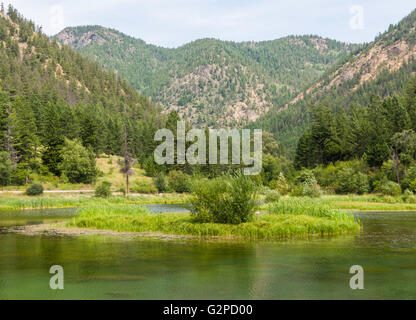 Lac Ford, à côté de Green Mountain Road près de Penticton, BC, Canada Banque D'Images