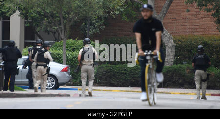 Westwood CA. 1er juin 2016. LAPD SWAT à l'UCLA après un meurtre-suicide mercredi matin à l'UCLA laissé deux morts, et invité un campus-wide lockdown, selon le service de police de Los Angeles.'à environ 10 ce matin, d'un homicide et d'un suicide a eu lieu dans le secteur sud, ' le chef de la police de Los Angeles, Charlie Beck a déclaré dans une conférence de presse. "Il semble qu'il a été entièrement compris. Nous croyons qu'il n'y a pas de suspects en circulation et aucune menace de poursuite de campus de l'UCLA. Nous sommes dans le processus de libération de la campus. © Gene Blevins/ZUMA/Alamy Fil Live News Banque D'Images