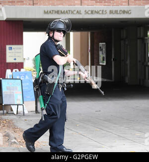 Westwood CA. 1er juin 2016. LAPD SWAT à l'UCLA après un meurtre-suicide mercredi matin à l'UCLA laissé deux morts, et invité un campus-wide lockdown, selon le service de police de Los Angeles.'à environ 10 ce matin, d'un homicide et d'un suicide a eu lieu dans le secteur sud, ' le chef de la police de Los Angeles, Charlie Beck a déclaré dans une conférence de presse. "Il semble qu'il a été entièrement compris. Nous croyons qu'il n'y a pas de suspects en circulation et aucune menace de poursuite de campus de l'UCLA. Nous sommes dans le processus de libération de la campus. © Gene Blevins/ZUMA/Alamy Fil Live News Banque D'Images