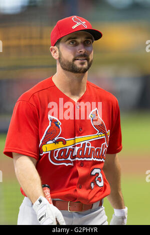 Milwaukee, WI, USA. 31 mai, 2016. Cardinals de Saint-Louis shortstop Greg Garcia # 35 avant le match de la Ligue Majeure de Baseball entre les Brewers de Milwaukee et les Cardinals de Saint-Louis au Miller Park de Milwaukee, WI. Cardinaux défait les Brewers 10-3. John Fisher/CSM/Alamy Live News Banque D'Images