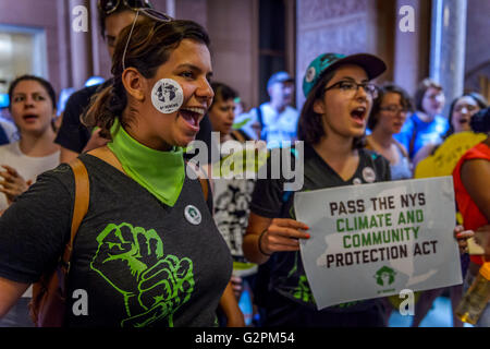 Albany, New York, USA. 01 Juin, 2016. De bons emplois exigeants, la santé des collectivités, et la justice de première ligne avec 100 % de l'énergie propre et renouvelable, des centaines de New Yorkais ont convergé vers la capitale de l'Etat le mercredi d'appeler gouverneur Cuomo et législateurs de l'état à l'appui de la Communauté climatique NYS & la protection de l'environnement (A.10342) - la nation la plus forte au projet de loi sur la protection du climat. Credit : PACIFIC PRESS/Alamy Live News Banque D'Images