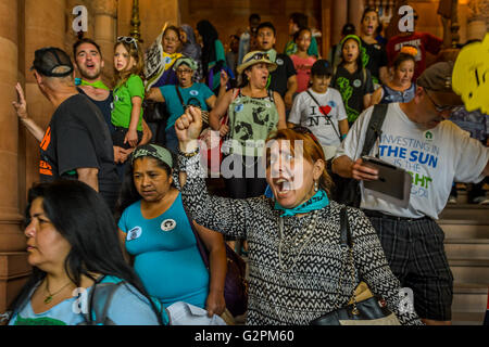 Albany, New York, USA. 01 Juin, 2016. De bons emplois exigeants, la santé des collectivités, et la justice de première ligne avec 100 % de l'énergie propre et renouvelable, des centaines de New Yorkais ont convergé vers la capitale de l'Etat le mercredi d'appeler gouverneur Cuomo et législateurs de l'état à l'appui de la Communauté climatique NYS & la protection de l'environnement (A.10342) - la nation la plus forte au projet de loi sur la protection du climat. Credit : PACIFIC PRESS/Alamy Live News Banque D'Images