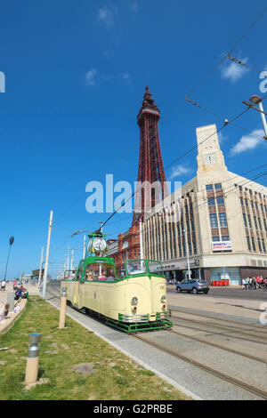 Tête ouverte en face de tramway Blackpool Tower Banque D'Images