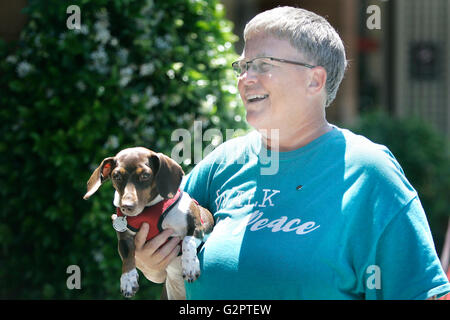 Napa, CA, USA. 16 mai, 2016. Alexis a Ryon-Melcher marché environ 350 kilomètres depuis le début de sa Marche pour la paix à Nevada City, il y a 56 jours. Elle et son chien Chandler n'ont pas de véritable destination en tête et elle ne sait pas quand sa marche, fin, autre qu'après avoir quitté Napa elle prévoit de prendre la direction du nord et l'Est. © Napa Valley Inscription/ZUMA/Alamy Fil Live News Banque D'Images