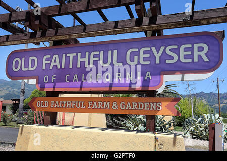 Napa Valley, CA, USA. 18 mai, 2016. Old Faithful Geyser dans Avalon. © Napa Valley Inscription/ZUMA/Alamy Fil Live News Banque D'Images